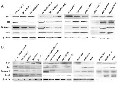fig4ab