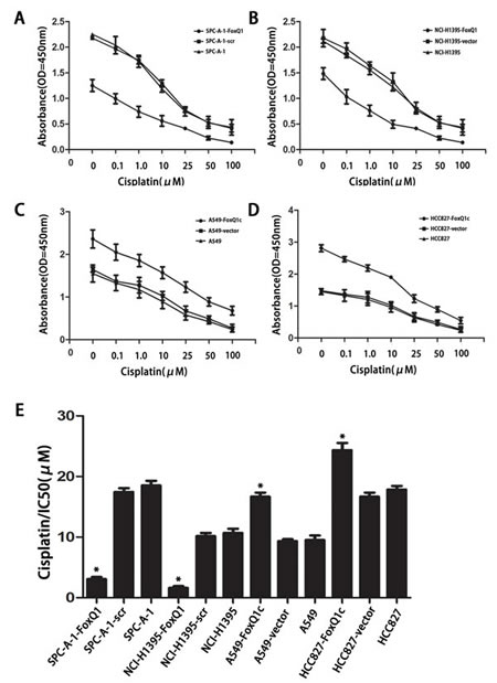 fig6