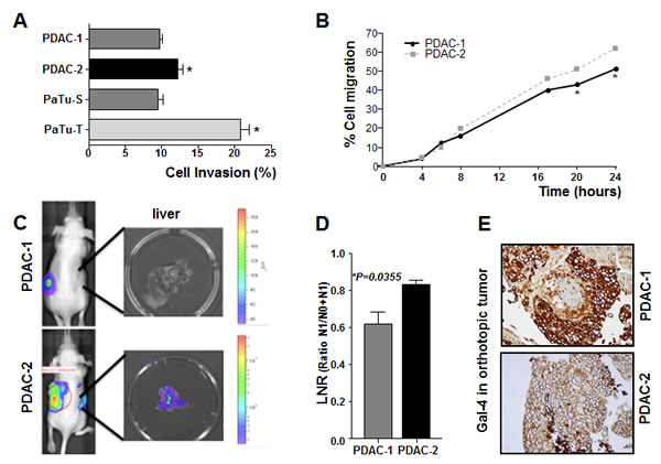 fig3