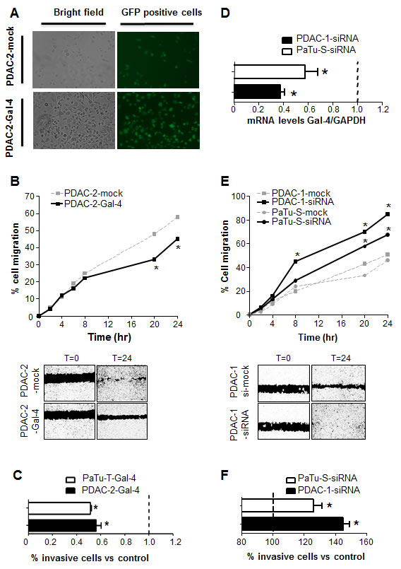 fig4
