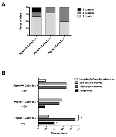 fig3
