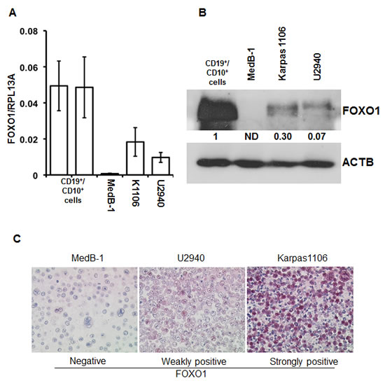 fig2