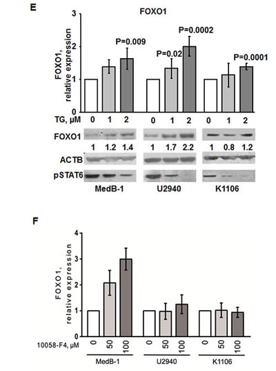 fig4b