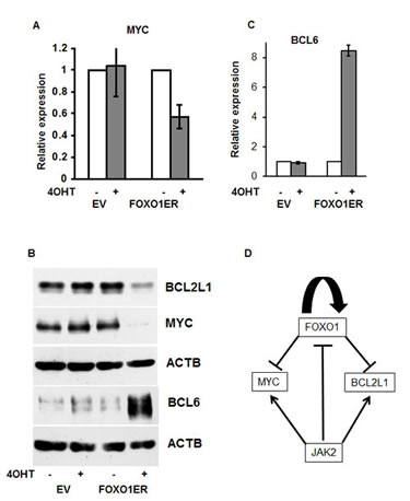 fig6