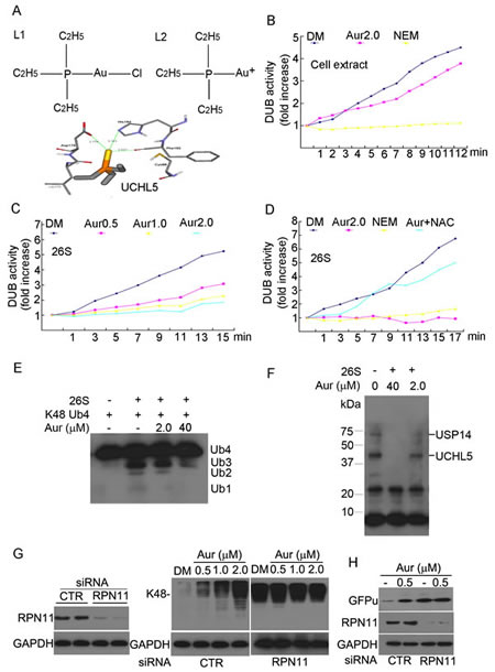 fig3
