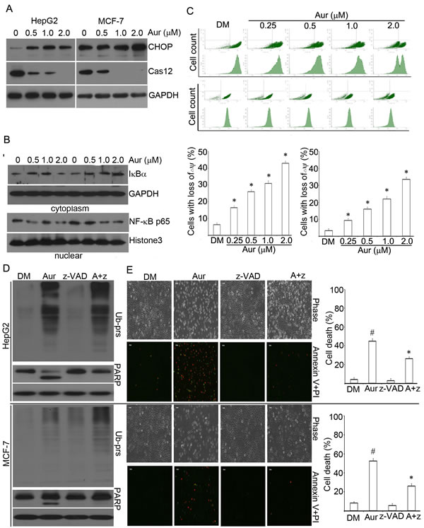 fig6