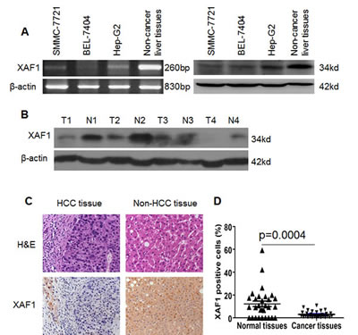 fig1