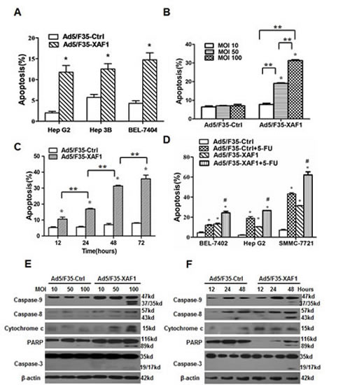 fig3