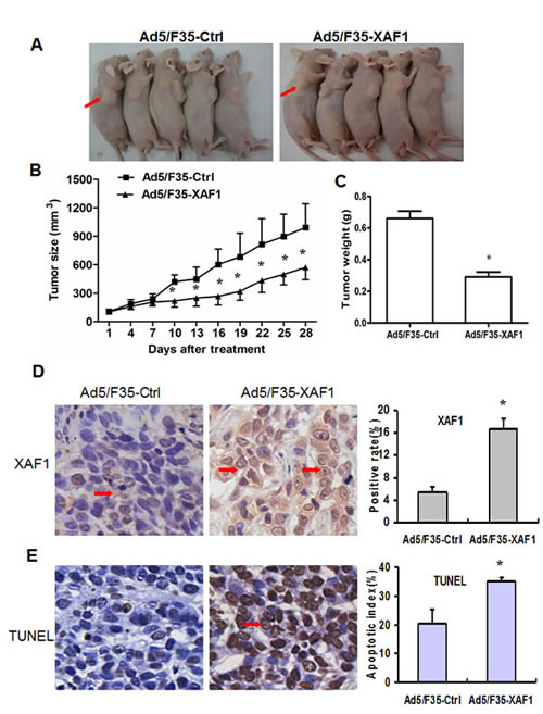 fig4