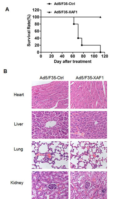 fig6