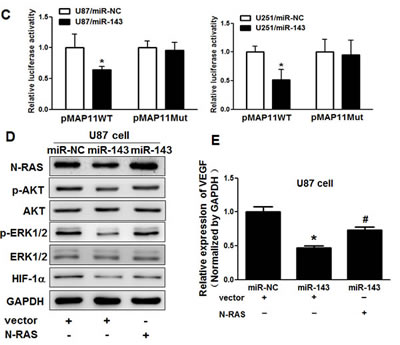 fig3b