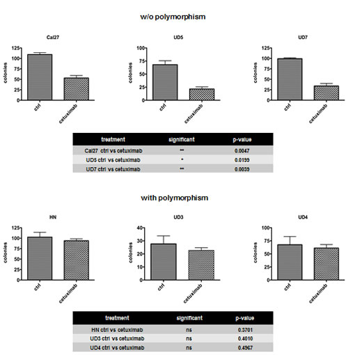 fig2