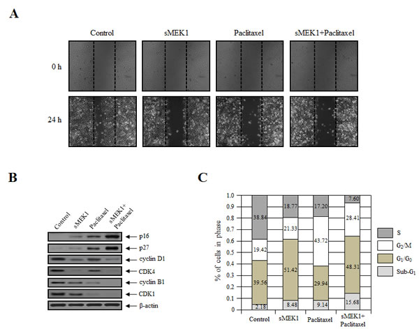 fig3