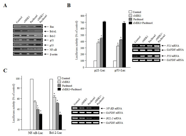 fig4