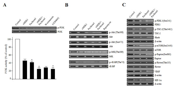 fig5