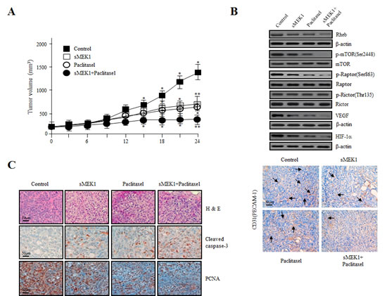 fig6
