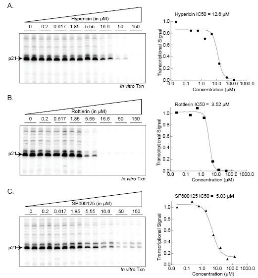Morachis Figure4_IC50_graphs.ai