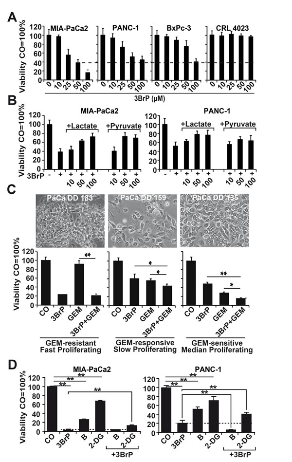 fig2
