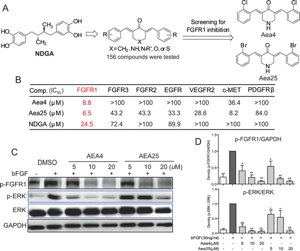 fig1