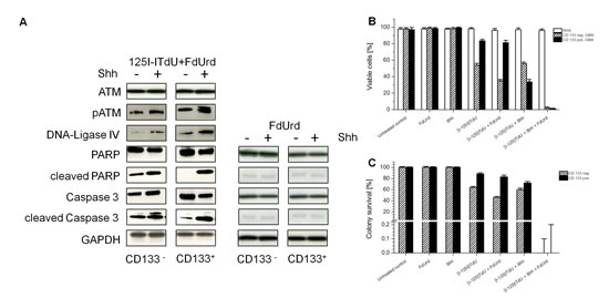 fig5