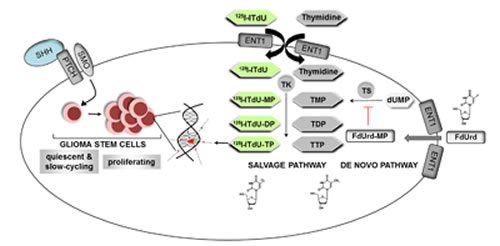 fig6