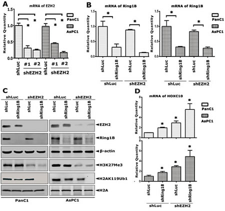 fig4