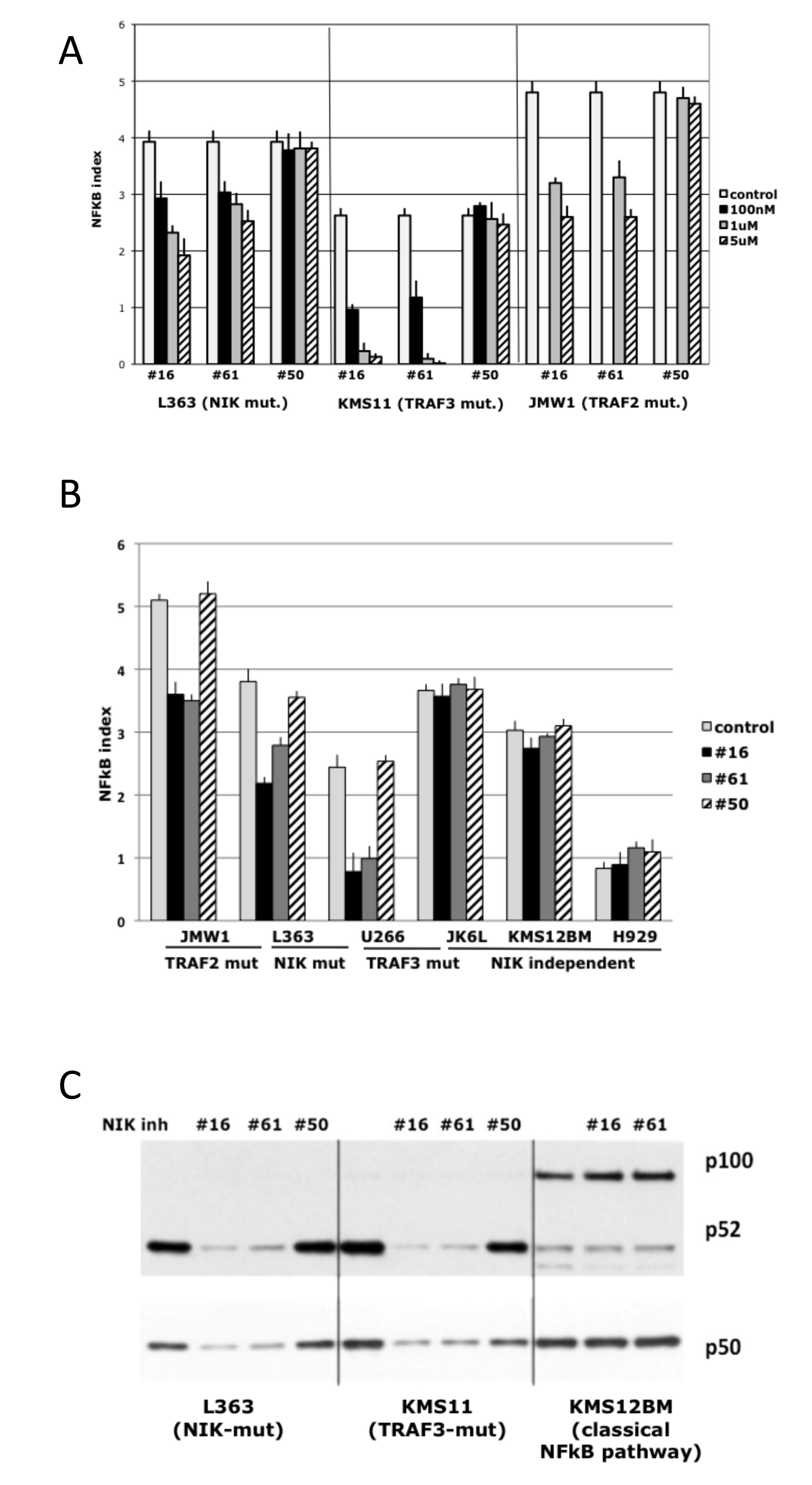 fig2