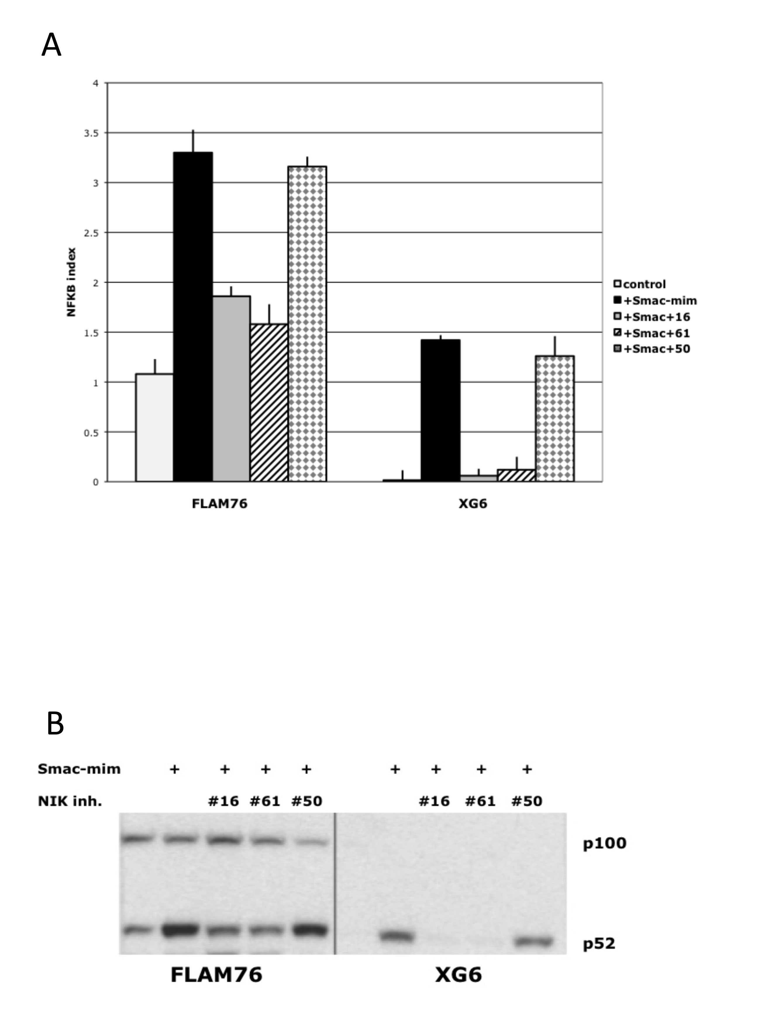 fig3