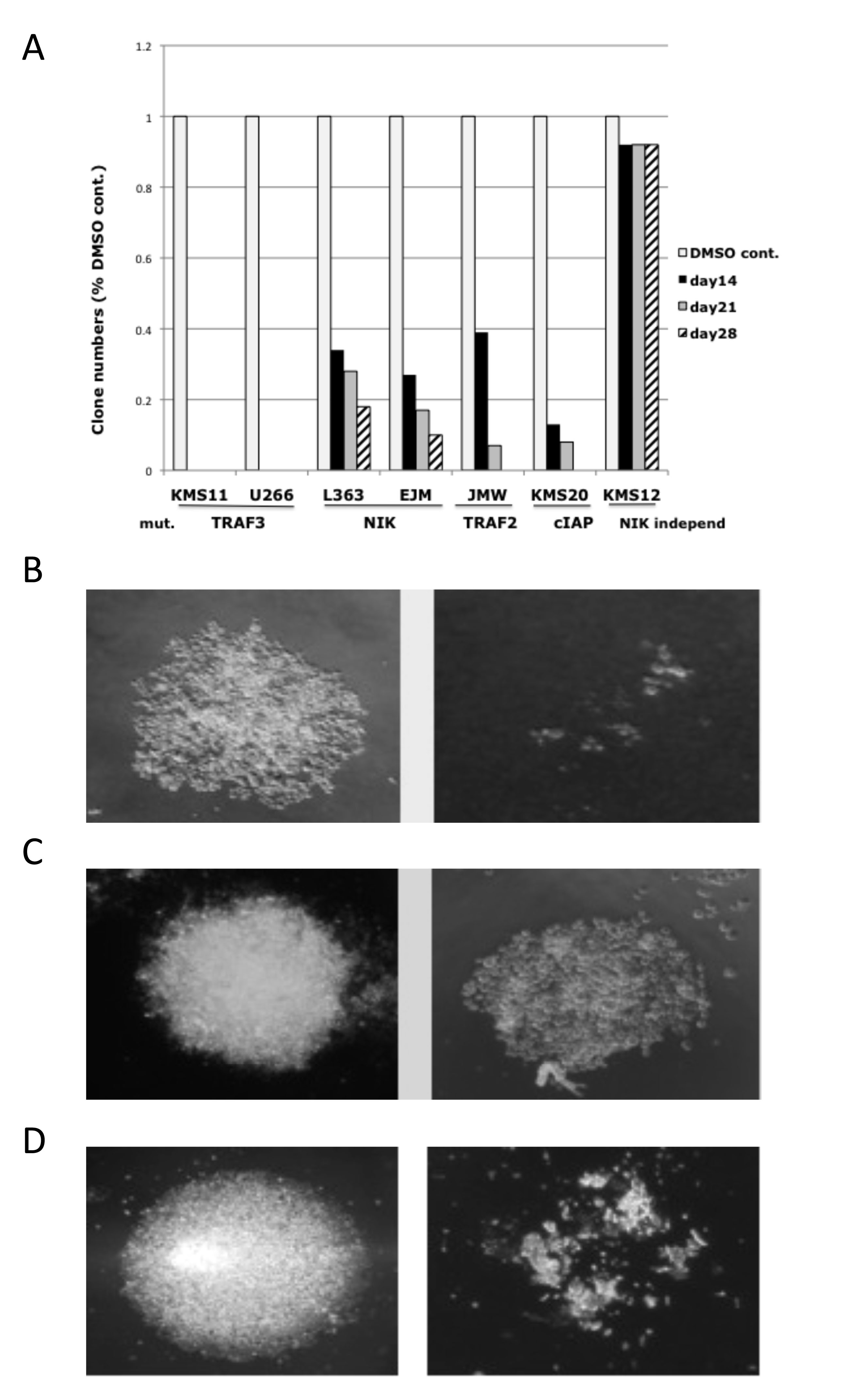 fig5