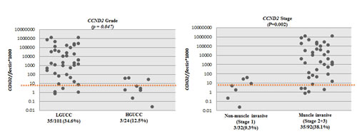 fig2c