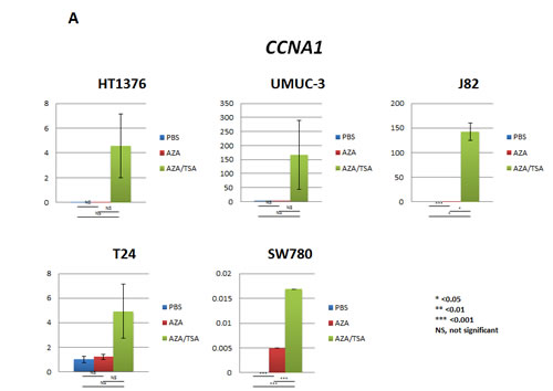 fig3a