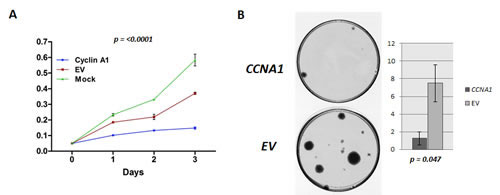 fig4