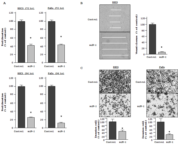 Figures_miR-1_TAGLN2_HNSCC_20110114.pdf