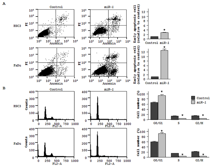 Figures_miR-1_TAGLN2_HNSCC_20110114.pdf
