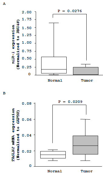 Figures_miR-1_TAGLN2_HNSCC_20110114.pdf