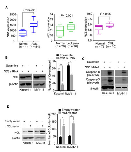 fig1