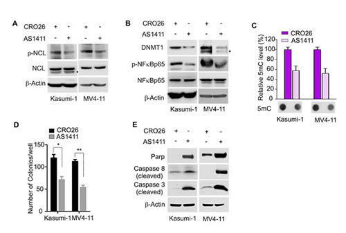 fig6
