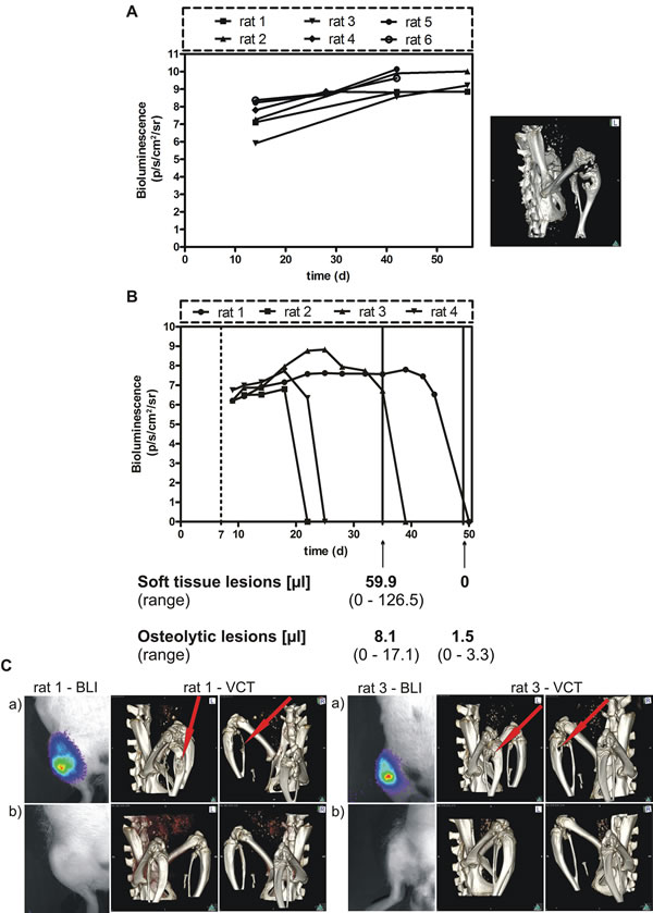 fig4