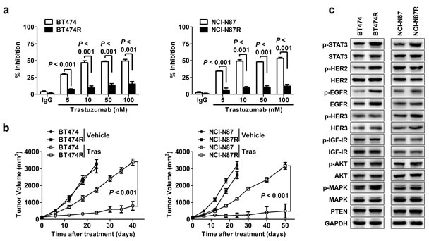fig1