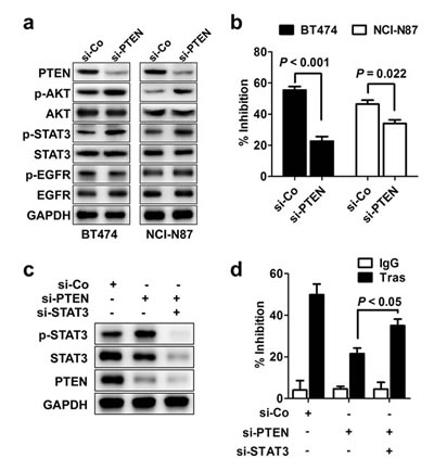 fig2