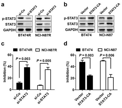 fig3