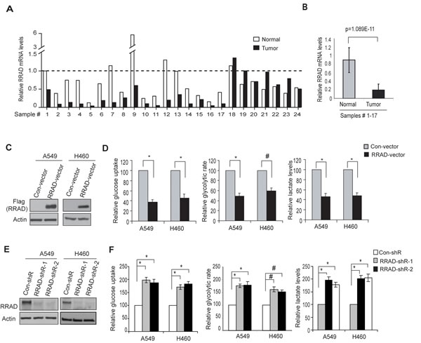 FIG2