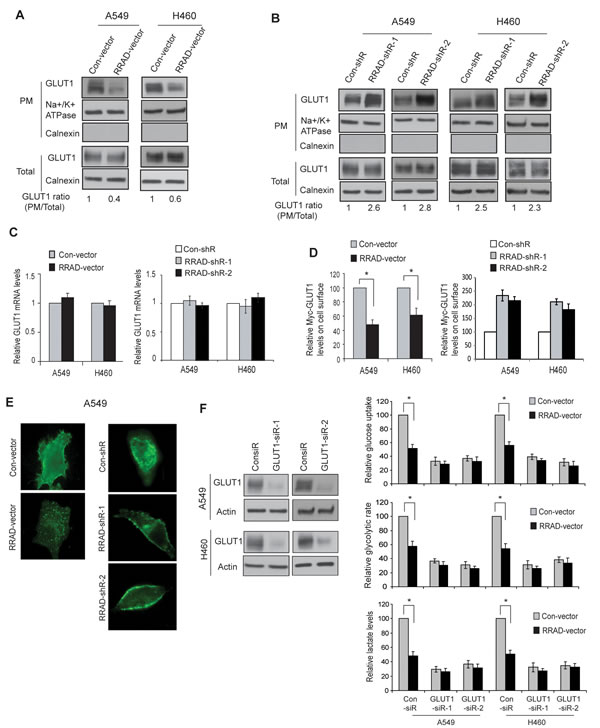 FIG3