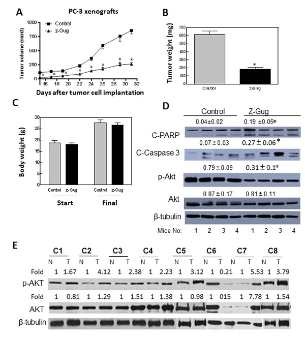 fig1