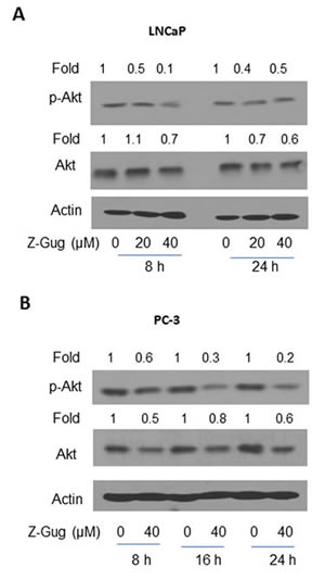 fig2