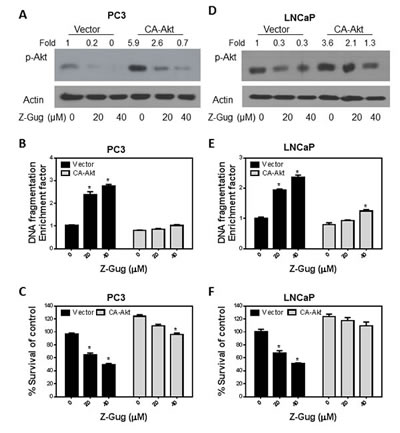 fig3