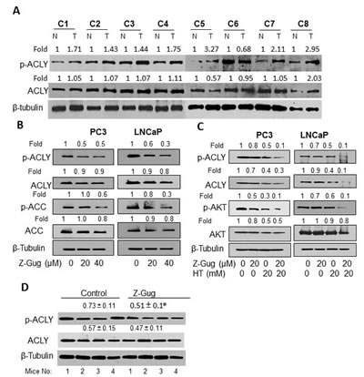 fig4