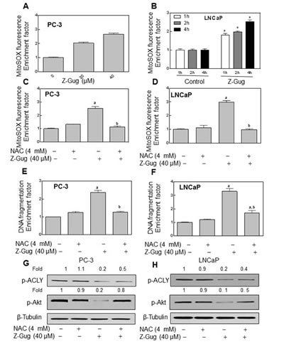 fig6