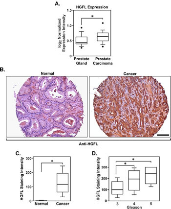 FIG1