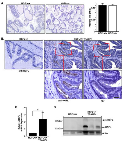 FIG2